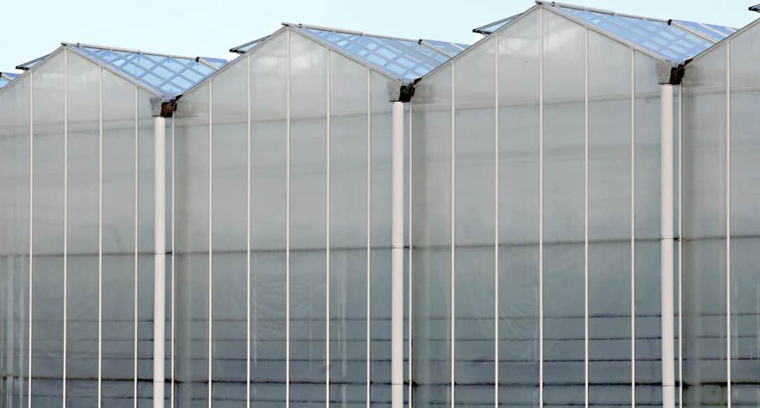 Ścianki z poliwęglanu komorowego: właściwości i zastosowania